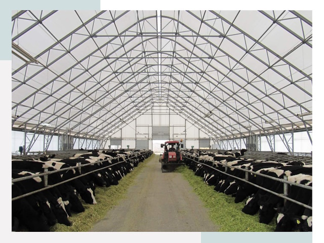 Тентовые коровники в Малоярославце от 621 руб. - Надежно и доступно