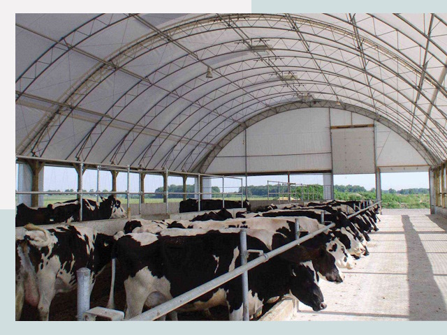 Тентовые коровники в Малоярославце